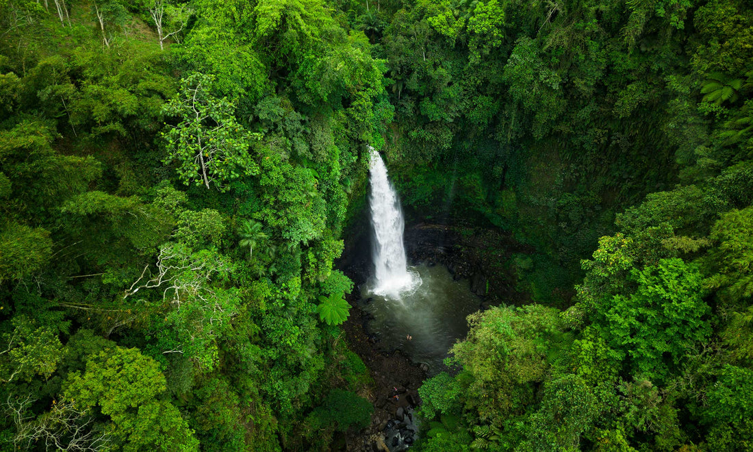 Sustainable Materials